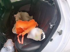 Changan E-Star Edition (31.86kWh) - фото 13