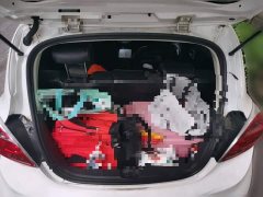 Changan E-Star Edition (31.86kWh) - фото 15
