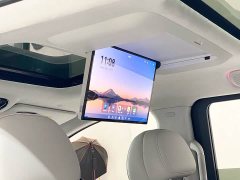 Voyah PHEV Ultra - фото 16