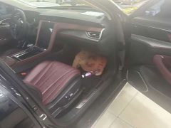 FAW H5 2.0T Edition - фото 5