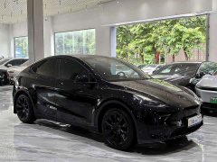 Tesla Model Y Edition - фото 3