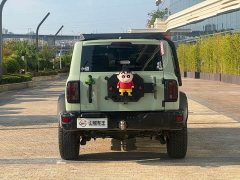 Tank 300 2.0T - фото 6