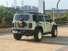 Tank 300 2.0T - фото 7