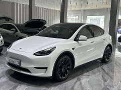 Tesla Model Y Edition - фото 1