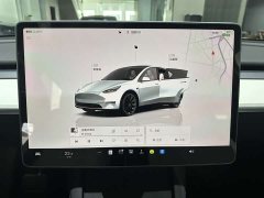 Tesla Model Y Edition - фото 16