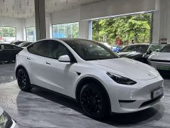 Tesla Model Y Edition - фото 3
