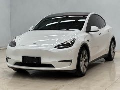 Tesla Model Y Standard Range Edition - фото 1