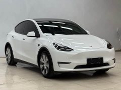 Tesla Model Y Standard Range Edition - фото 12