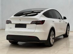 Tesla Model Y Standard Range Edition - фото 15