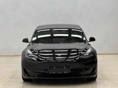 Tesla Model 3 Standard Range Edition 3D1 - фото 11