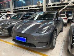 Tesla Model Y Edition - фото 1