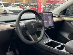 Tesla Model Y Edition - фото 2