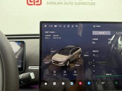 Leapmotor C11 EREV 300 Edition - фото 11