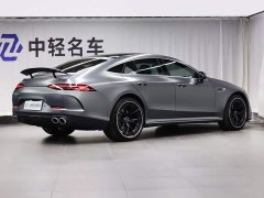 Mercedes-Benz AMG GT AMG GT 50 - фото 3