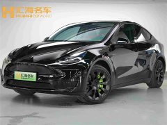 Tesla Model Y Edition - фото 1