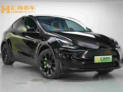 Tesla Model Y Edition - фото 3
