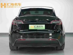 Tesla Model Y Edition - фото 5