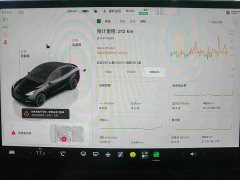 Tesla Model Y Edition - фото 7