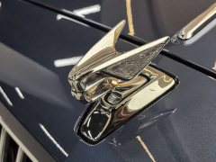 Tesla 4.0T V8 Edition - фото 11