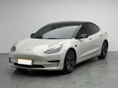 Tesla Model 3 Edition - фото 1