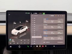 Tesla Model 3 Edition - фото 12
