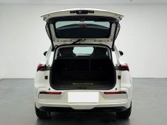 Buick E5 SmartStandard Range Edition - фото 5