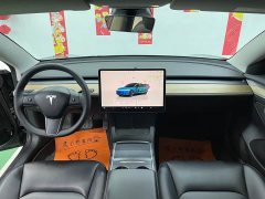 Tesla Model 3 Edition - фото 10