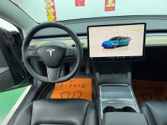 Tesla Model 3 Edition - фото 11