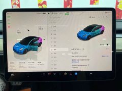 Tesla Model 3 Edition - фото 15