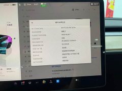 Tesla Model 3 Edition - фото 16