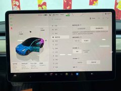 Tesla Model 3 Edition - фото 17