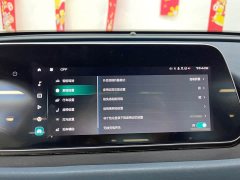 Ora 500kmLong Range Edition - фото 18
