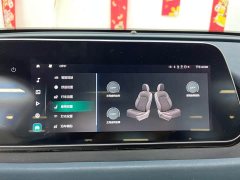 Ora 500kmLong Range Edition - фото 19