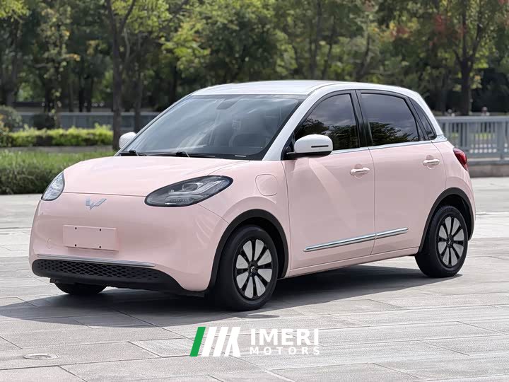 Wuling 410km Deluxe