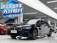 BMW 5 530Li Version M - фото 1