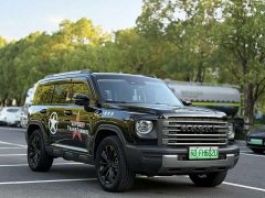 Haval Hi4 102 Pro - фото 3