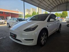 Tesla Model Y Edition - фото 1