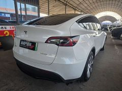 Tesla Model Y Edition - фото 9