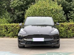 Tesla Model Y Long Range Edition - фото 1