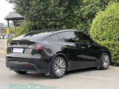 Tesla Model Y Long Range Edition - фото 17