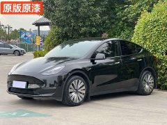 Tesla Model Y Long Range Edition - фото 2