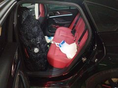 FAW H6 2.0T Edition - фото 14