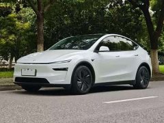 Tesla Model Y Long Range Edition - фото 1