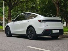 Tesla Model Y Long Range Edition - фото 7
