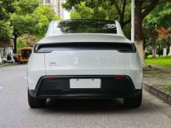 Tesla Model Y Long Range Edition - фото 9