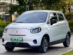 Leapmotor T03 310 Edition - фото 1