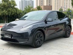 Tesla Model Y Edition - фото 1