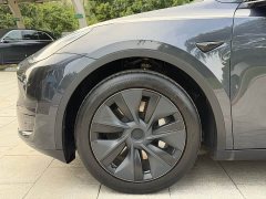 Tesla Model Y Edition - фото 10