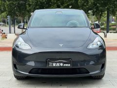 Tesla Model Y Edition - фото 2