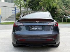 Tesla Model Y Edition - фото 7
